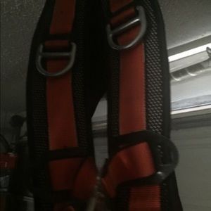 Rescue harness